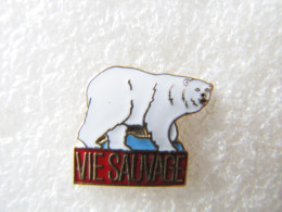 PIN'S   OURS BLANC  VIE SAUVAGE   Email Grand Feu - Tiere