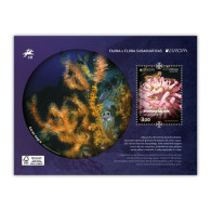 Portugal ** & Europa CEPT Madeira, Fauna E Flora Subaquática 2024 (6638) - Marine Life