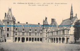 R052361 Chateau De Blois. The Castle. Louis XII Aisle. Papeghin. No 24 - Monde