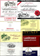 ITALIA ITALY - 16 Etichette Vino Rosso EMILIA Anni 70-80-90 Vino LAMBRUSCO SALAMINO DI S.CROCE DOC - Lotto 1 - Vino Tinto