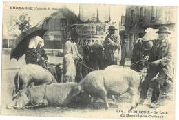 Bretagne - Saint-Brieuc - Un Coin Du Marché Aux Cochons - Saint-Brieuc