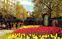 R052717 Embankment Gardens. London. 1968 - Other & Unclassified