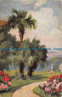 R051208 Old Postcard. Path. Palms And Garden - Monde