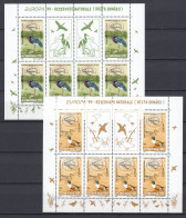 ROMANIA 1999 Europa Birds Sheets MNH (**) Fauna 888 - Autres & Non Classés
