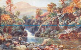 R052762 Loch Lomond. Glen Falloch. Tuck. Oilette. 1908 - World