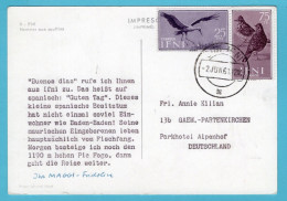 IFNI Possession Of Spain Dear Doctor Card 1961 Sidi Ifni With Bird Franking To Germany - Ifni