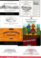 ITALIA ITALY - 23 Etichette Vino Rosso EMILIA Anni 70-80-90 Vino LAMBRUSCO GRASPAROSSA DI CASTELVETRO DOC - Rotwein