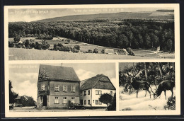 AK Horbruch, Gasthaus Otto Barth, Partie Mit Idarkopf, Hirsche Im Wald  - Other & Unclassified