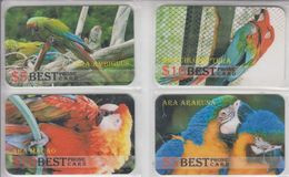 USA BIRD PARROT SET OF 4 CARDS - Papageien