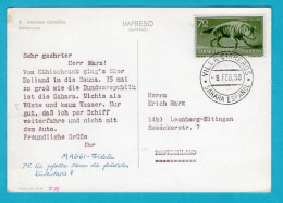 SPANISH SAHARA Dear Doctor Card 1958 Villa Cisheros To Eltingen, Germany - Sahara Espagnol