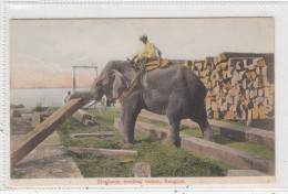 Elephants Working Timber. Rangoon. * - Myanmar (Birma)