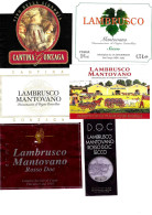 ITALIA ITALY - 12 Etichette Vino Rosso EMILIA Anni 70-80-90 Vino LAMBRUSCO MANTOVANO DOC - Rouges