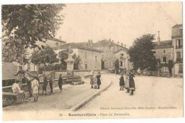 Rambervillers . La Place Du Parmoulin , Jeux D'enfants Sur L'arbre. - Rambervillers