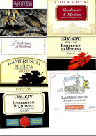 ITALIA ITALY - 12 Etichette Vino Rosso EMILIA Anni 70-80-90 Vino LAMBRUSCO DI MODENA - Lotto 1 - Red Wines