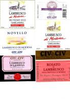 ITALIA ITALY - 12 Etichette Vino Rosso EMILIA Anni 70-80-90 Vino LAMBRUSCO DI MODENA - Lotto 2 - Rode Wijn