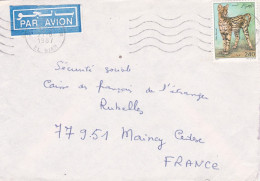 Algérie-1987--lettre De EL BIAR  Pour MAINCY-77 (France), Timbre ( Serval)   , Cachet.. - Algerien (1962-...)
