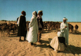 CPM - SUD TUNISIEN - Folklore Bédouins - Edition Tanit - Tunisia