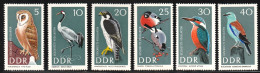 1967 GDR (East Germany) Birds Set (** / MNH / UMM) - Sperlingsvögel & Singvögel