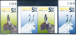 Fauna. Lepri 2005. - Faroe Islands