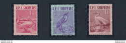 1961 ALBANIA,  Fauna - Uccelli, N. 630/32, MNH** - Sonstige & Ohne Zuordnung