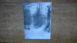 Les Abrets Où Environs : Isère , ( Années 50-60 ) Paysage En Hiver - Places