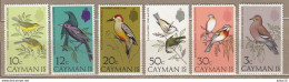 BIRDS Vogel Oiseaux Cayman Islands 1975 Mi 350-355 MNH (**) #Fauna895 - Autres & Non Classés