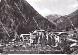 Ah825 Cartolina Antica Fonte Pejo Fonte Alpina E Alberghi Provincia Di Trento - Trento