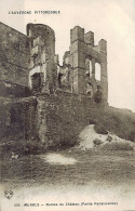 *CPA  - 63 - MUROLS - Ruines Du Château (Partie Renaissance) - Other & Unclassified