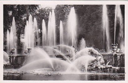 AK 214645 FRANCE - Versailles - Bassin De Neptune - Versailles (Schloß)