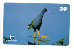 Oiseau Vogel  Bird Télécarte Brésil Phonecard Telefonkarte (W 750) - Brésil