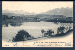 12604 - Lac De Bret - Dents De Morcles Et Le Grammont - Vue Générale - Altri & Non Classificati