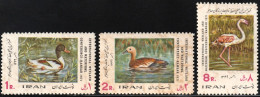 1971 Iran Wetlands And Water Birds Conference: Common Shelduck, Ruddy Shelduck, Greater Flamingo Set (** / MNH / UMM) - Flamants