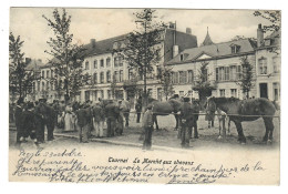 Tournai   Le Marché Aux Chevaux - Doornik