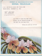 PHILIPPINES TELEGRAMME SOCIAL TELEGRAM  18 XII 63 Belle Illustration Orchid Orchidée + Enveloppe !  - Philippines