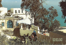 *CPM - TUNISIE - SIDI BOU SAID - - Tunisia