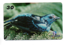 Oiseau Vogel  Bird Télécarte Brésil Phonecard Telefonkarte (W 754) - Brazil