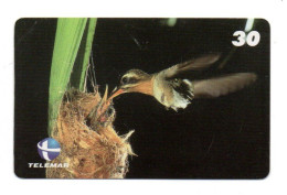 Oiseau Vogel  Bird Télécarte Brésil Phonecard Telefonkarte (W 755) - Brésil