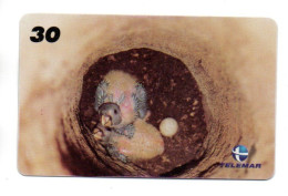 Oiseau Vogel  Bird Télécarte Brésil Phonecard Telefonkarte (W 756) - Brazilië
