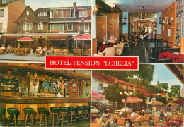 Postcard Hotels Restaurants Pension Lobelia - Hotels & Restaurants