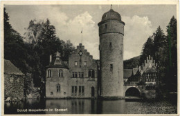 Schloss Mespelbrunn (Spessart) - Aschaffenburg