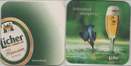 5005853 Bierdeckel Quadratisch - Licher - Beer Mats