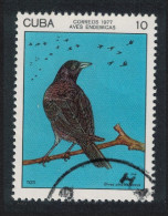 Caribic Blackbird Bird 1977 CTO SG#2355 - Used Stamps