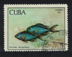 Caribic Blue Chromis Fish Pisciculture 5c 1969 Canc SG#1658 - Usati