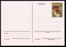 Austria Mushrooms Postcard 1989 - Used Stamps