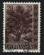 Liechtenstein Sycamore Tree 1958 Canc SG#369 MI#371 Sc#313 - Oblitérés