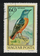 Hungary Rock Thrush Song Bird 60fi 1973 Canc SG#2792 MI#2856 - Oblitérés