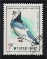 Hungary Birds Pigeon International Exhibition 1969 Canc SG#2503 Sc#2016 - Gebraucht