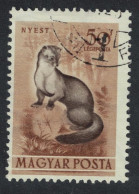 Hungary Beech Marten 20fi 1953 Canc SG#1274 Sc#C114 - Oblitérés