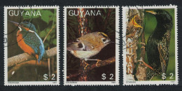 Guyana Birds 3v 1987 CTO - Guiana (1966-...)