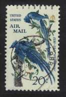 USA Collie's Magpie-jays Birds Audubon 5c T2 1963 Canc SG#1223 MI#854 - Usados